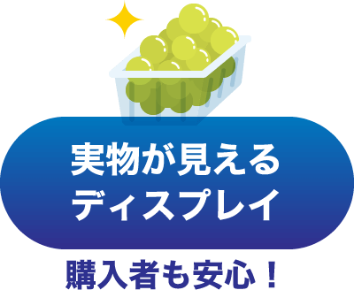 実物が見えるディスプレイ